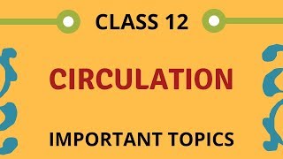 circulation class 12 [upl. by Akiraa]