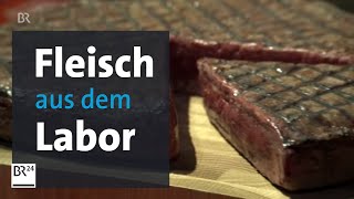 Meat the Future  ein Steak aus dem Labor So sieht das Fleisch der Zukunft aus  BR24 [upl. by Yahsram]