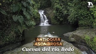 Antioquia Asombrosa Cuevas del río Bedó  Teleantioquia [upl. by Amuh]