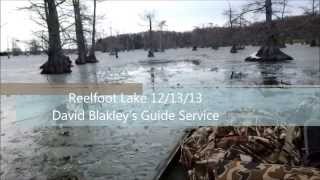 Reelfoot Lake Duck Hunting [upl. by Swarts]