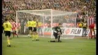 Red Star Belgrade v Marseille 1991 European Cup Final  Road To Final [upl. by Faxon696]