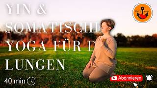 Yin Yoga I Somatisches Yoga für die Lungen I Entspannen und Durchatmen I 40 min [upl. by Ilhsa]