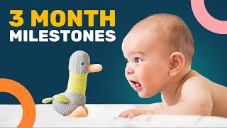 3 Month Developmental Milestones What is Normal [upl. by Pesek579]