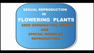 CLASS 12  CHAPTER 2  TOPIC VI  SEED GERMINATION FRUIT AND UNUSUAL MODES OF REPRODUCTION [upl. by Lacy]