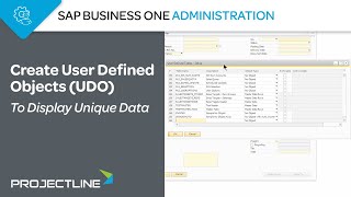 SAP Business One UDO  Create User Defined Objects to Display Unique Data [upl. by Acimehs]