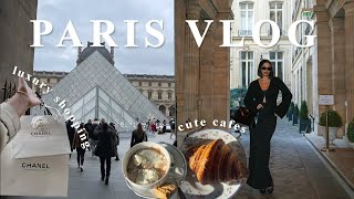 PARIS IN WINTER VLOG  best lunch spots luxury shopping amp wandering around the streets of Paris [upl. by Thorrlow758]