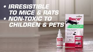 How to Bait Mice amp Rats Using Tomcat® Attractant Gel [upl. by Wilkey]