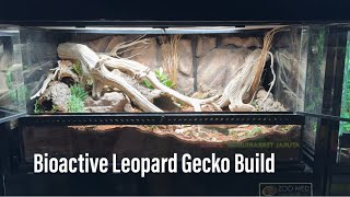 How I Made a Bioactive Leopard Gecko Vivarium [upl. by Mal]