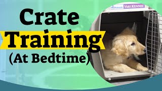 How to Crate Train A Puppy At Night  Crate training for puppies [upl. by Nemad]