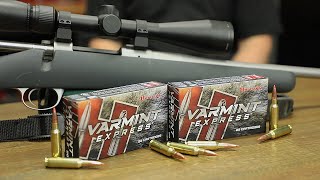 65 Creedmoor 95gr VMAX® Varmint Express® Indepth Overview [upl. by Joanne]