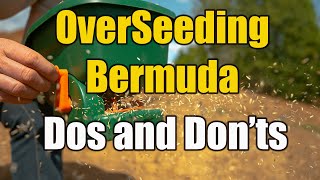 Overseeding Bermuda with Rye for Fall and Winter [upl. by Inohs]