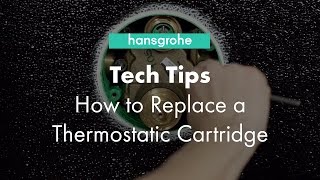 Hansgrohe Tech Tips How to Clean Thermostatic Cartridge [upl. by Dehsar]