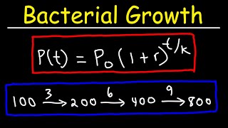 How To Solve Bacteria Growth Math Problems [upl. by Etnaud]