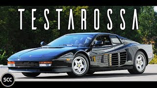 FERRARI TESTAROSSA 1991  Test drive in top gear  FLAT V12 Engine sound  SCC TV [upl. by Yardley975]