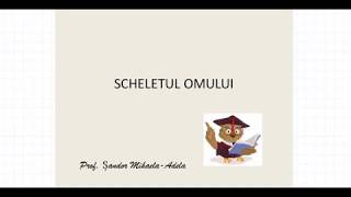 SCHELETUL OMULUI [upl. by Akemor]