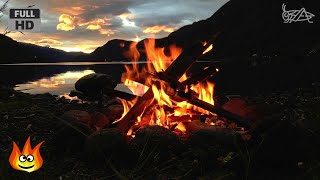 Lakeside Campfire with Relaxing Nature Night Sounds HD [upl. by Fronnia]