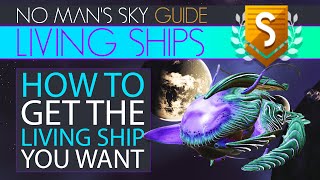 No Mans Sky Living Ship Locations ARE Consistent amp Heres How It Works  Starship Hunting amp Mapping [upl. by Adaj]