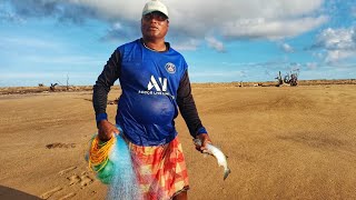 Best Net Fishing Video  Traditional Catching Fish in The River [upl. by Rahcir]