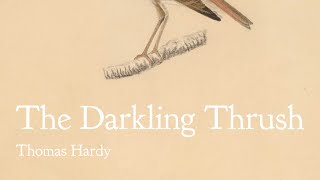 Poem Analysis The Darkling Thrush by Thomas Hardy [upl. by Isadore]