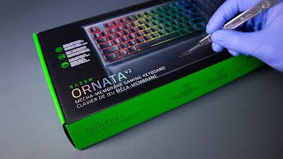 Razer Ornata V2 Keyboard Unboxing  ASMR [upl. by Grishilda]