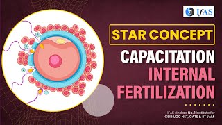 CAPACITATION I INTERNAL FERTILIZATION I CSIR2023 I DBT I [upl. by Euv]