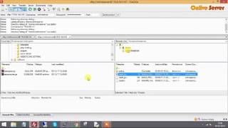 Install Configure and Secure Access FTP Server FileZilla in Centos 7 – Onlive Server [upl. by Ellehcor553]