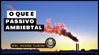 O Que É Passivo Ambiental [upl. by Ittak]