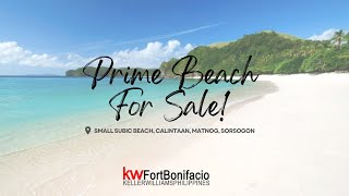 Prime Beachfront For Sale Small Subic Beach Calintaan Matnog Sorsogon Philippines [upl. by Htebzil39]