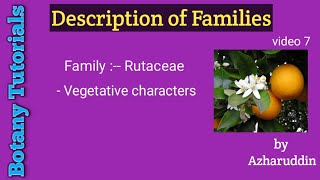 Rutaceae vegetative characters [upl. by Bulley]