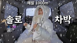 해발1000m ❄ 24시간 눈내리는 산속에서 나홀로 차박  솔로캠핑 [upl. by Eibloc229]