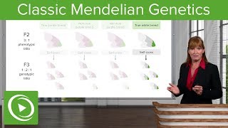 Classic Mendelian Genetics – Genetics  Lecturio [upl. by Eissat]