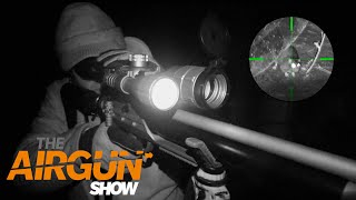 The Airgun Show – frantic night rat hunting with the InfiRay Tube amp the BSA Defiant bullpup on test [upl. by Ecnadnac]