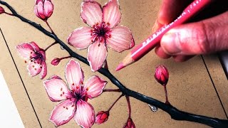 How to Draw Cherry Blossoms [upl. by Aik]