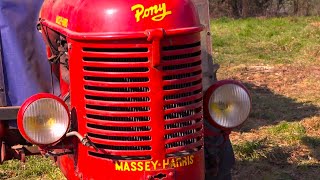 1954 Massey Harris Pony  Un tracteur bon à tout faire 🚜 [upl. by Ajaj24]