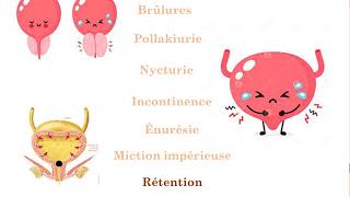 Examen clinique en néphrologie partie 01 [upl. by Aibsel]