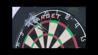 Target Pro Tour Dart Board [upl. by Natika692]