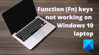 Function Fn keys not working on Windows 10 laptop [upl. by Durant]