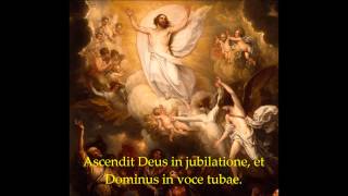 Ascendit Deus in Jubilatione  Catholic Chant from the Feast of the Ascension [upl. by Brennan43]