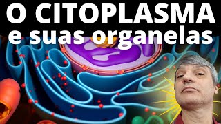 O citoplasma e suas organelas [upl. by Janaya152]