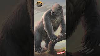 Megatherium The 13 Foot Giant of Prehistoric Times [upl. by Adnical773]