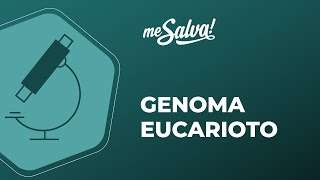 Genoma Eucarioto  Biologia Molecular  Me Salva Saúde [upl. by Miarzim]