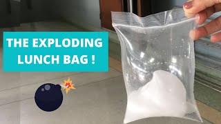 The Exploding Lunch Bag  SANDWICH POP  Vinegar and Baking soda Experiment  Chemical Reaction [upl. by Naeloj]