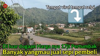 Pinggir jalan Viral‼️17jt Pertumbak Wow cocok untuk inpestasi [upl. by Aiuqet674]