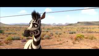 Khumba Movie Exclusive Clip The Springboks in HD [upl. by Scot]