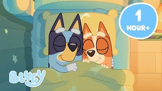 🔴LIVE Boxing Day Fun and Restful Moments 💤 🛌  Bluey [upl. by Nesyaj]