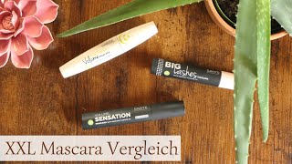 7 Mascaras 1 Gewinner 🥒 Sante XXL Vergleich  vegan crueltyfree  Fresh Cucumber Volume  Ginkgomen [upl. by Malachy]