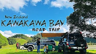 Road tripkawakawa bay New Zealand [upl. by Ogram]