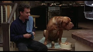 Turner and Hooch 1989  Beer [upl. by Walls]