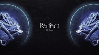 Ali Gatie  Perfect Official Lyric Video [upl. by Trin]