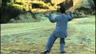 56 Chen Style Taiji Quan  Demo and Explanation Guide [upl. by Anwahsiek972]